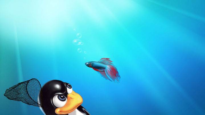 Linux vs Windows Blue Background